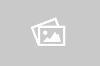 Bitcoin Bubble-free Stickers